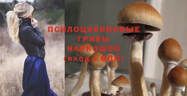 стафф Армянск