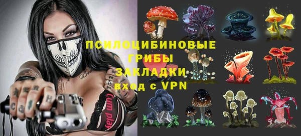 стафф Армянск