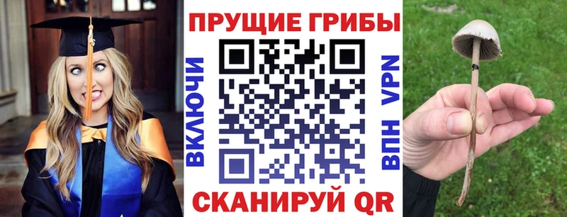 Псилоцибиновые грибы Psilocybine cubensis  дарнет шоп  Любань 